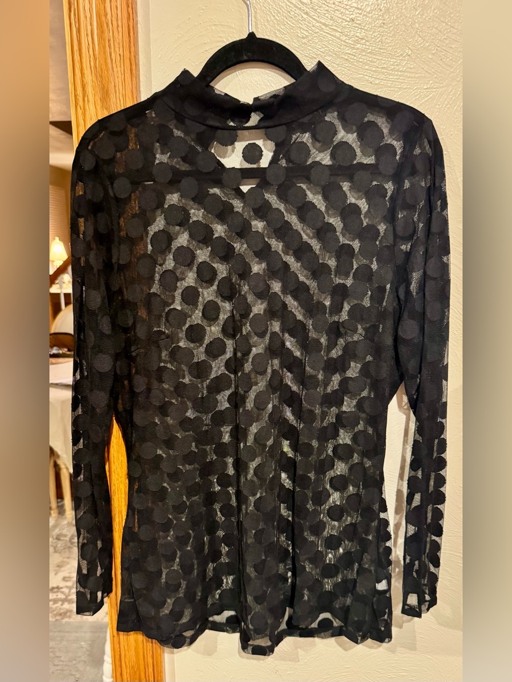 Sheer Black Polka Dot Long Sleeve Top